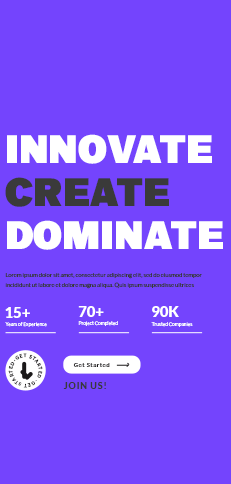 Professional Web Development Project Portfolio by OpenDevSol